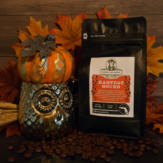 Whole Bean Harvest Hound Pumpkin Spice, Medium Roast Seasonal 12oz Coffee